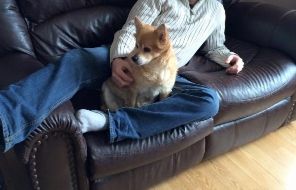 Ottawa police search for missing Ottawa man Mathieu Godin Ottawa police search for missing Ottawa man Mathieu Godin